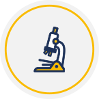 Lab-Multidisciplinares