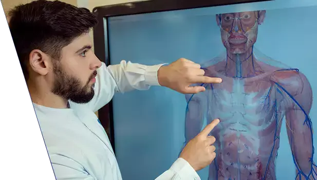Profissional da área da saúde observa e aponta estruturas do corpo humano em uma tela digital, com a frase “A gente forma. Você transforma.” ao lado do logotipo da São Leopoldo Mandic Limeira.